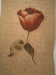 Wall Hangings / Table Covers / Throws: TULIPS Taupe