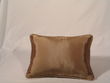 Cord Lumbar (reverse)