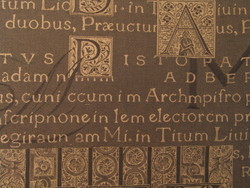 Script: SCRIPT Charcoal fabric per metre